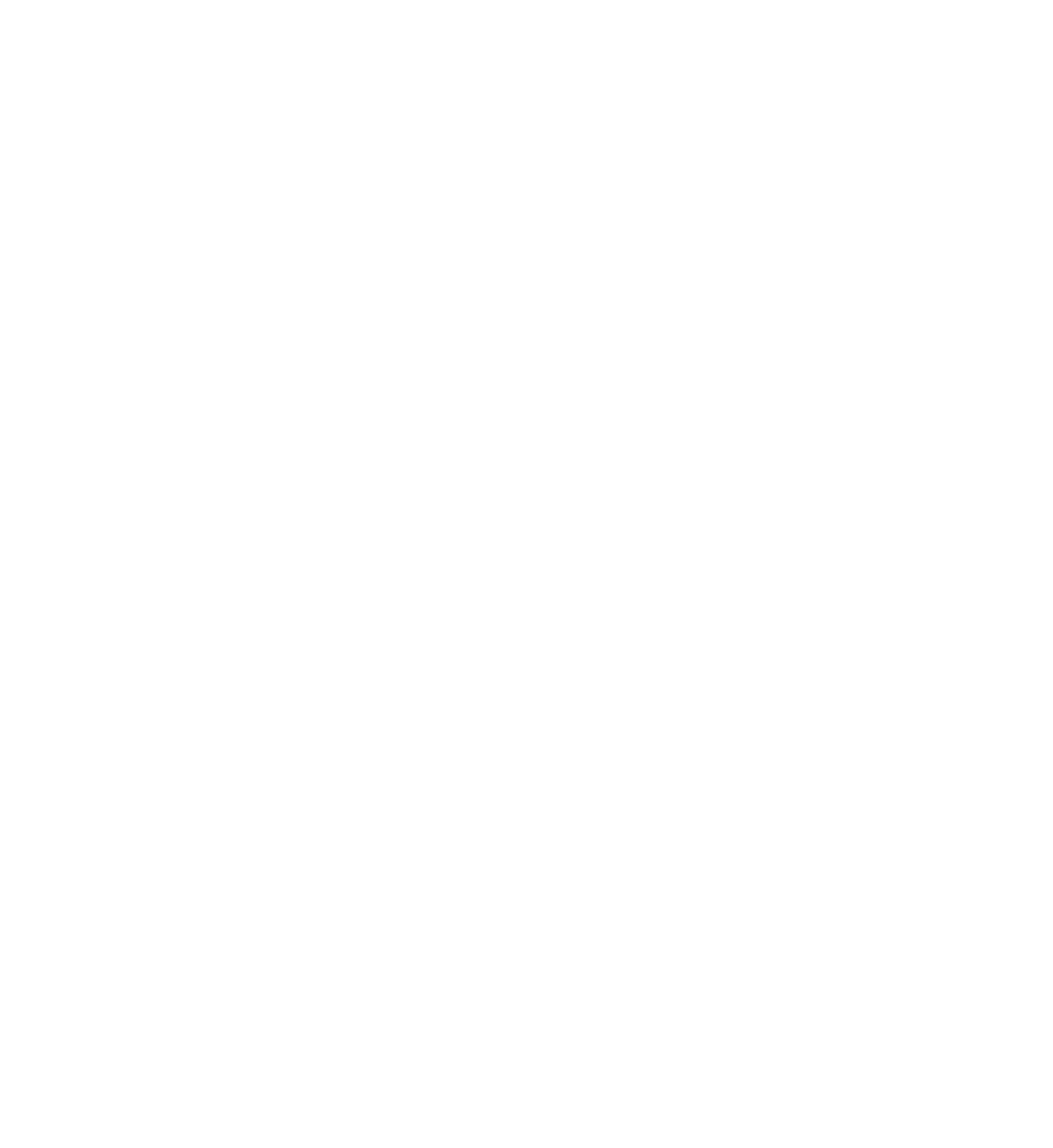 DS Service 